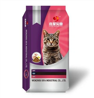 Beg Feed Cat